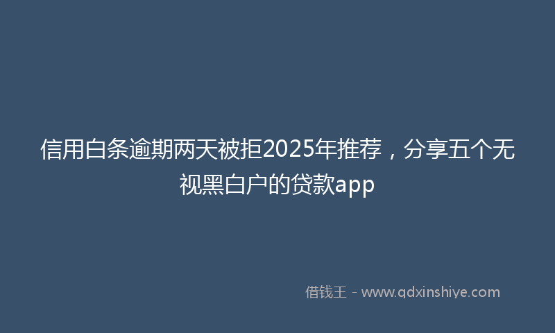 信用白条逾期两天被拒2025年推荐，分享五个无视黑白户的贷款app