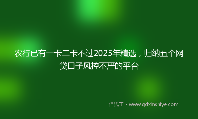 农行已有一卡二卡不过2025年精选，归纳五个网贷口子风控不严的平台