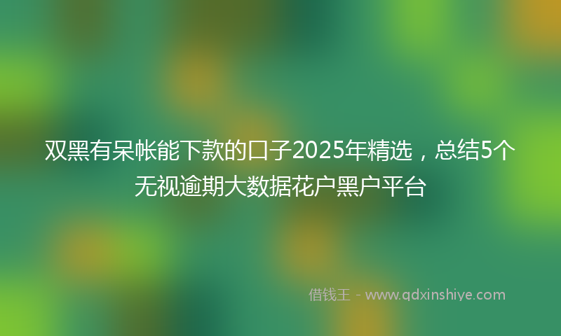 双黑有呆帐能下款的口子2025年精选，总结5个无视逾期大数据花户黑户平台