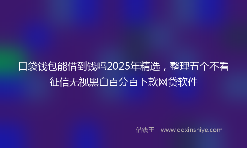 口袋钱包能借到钱吗2025年精选，整理五个不看征信无视黑白百分百下款网贷软件