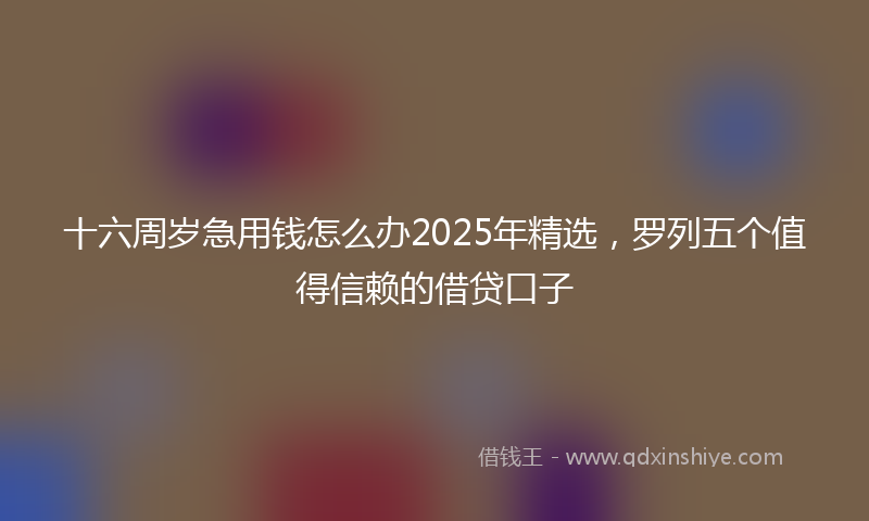 十六周岁急用钱怎么办2025年精选，罗列五个值得信赖的借贷口子