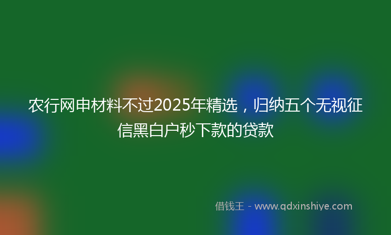 农行网申材料不过2025年精选，归纳五个无视征信黑白户秒下款的贷款