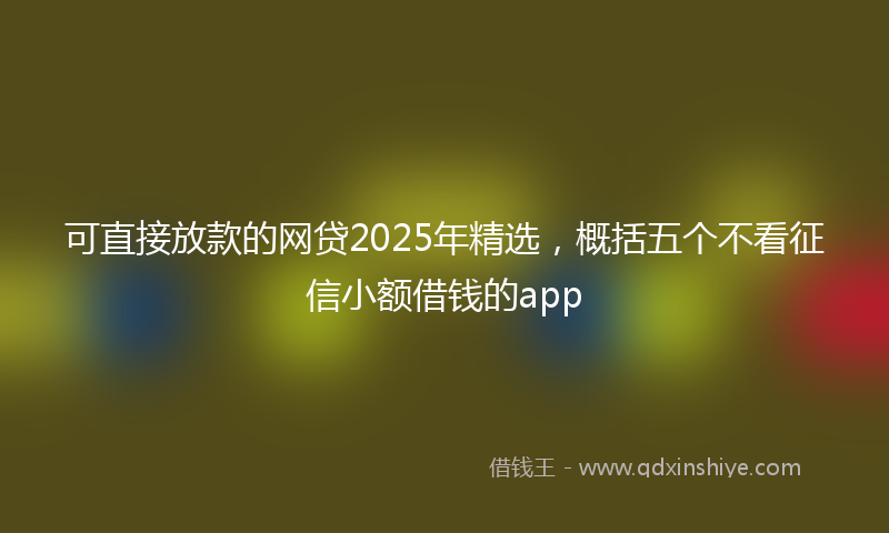 可直接放款的网贷2025年精选，概括五个不看征信小额借钱的app