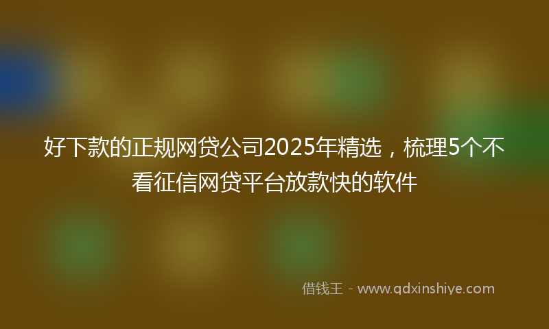 好下款的正规网贷公司2025年精选，梳理5个不看征信网贷平台放款快的软件