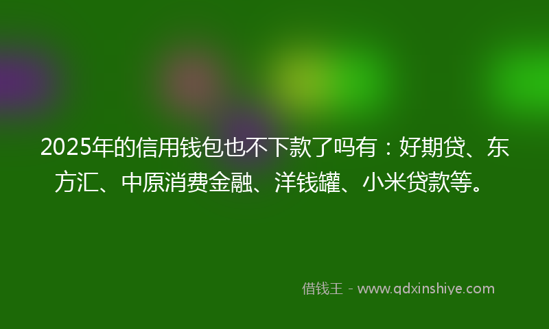 2025年的信用钱包也不下款了吗有：好期贷、东方汇、中原消费金融、洋钱罐、小米贷款等。