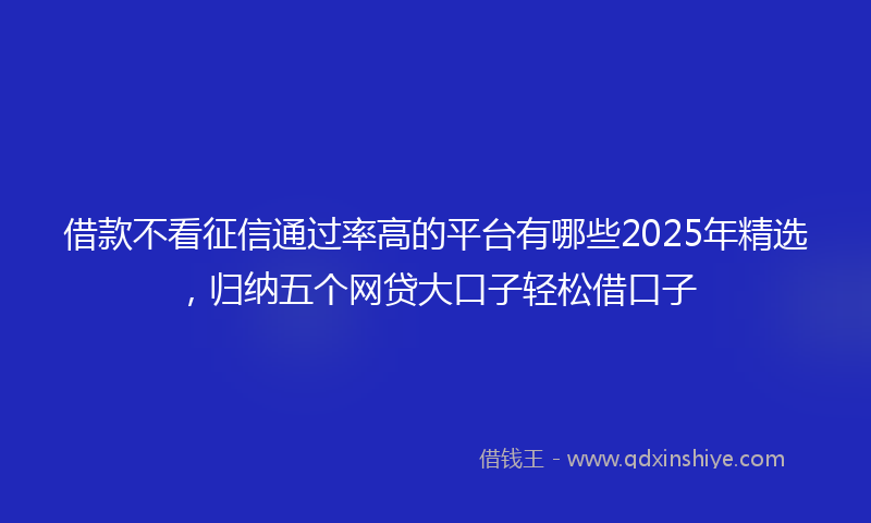 借款不看征信通过率高的平台有哪些2025年精选，归纳五个网贷大口子轻松借口子
