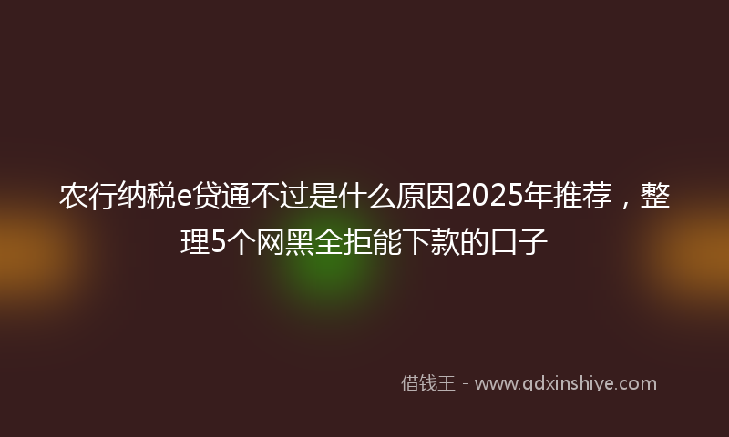 农行纳税e贷通不过是什么原因2025年推荐，整理5个网黑全拒能下款的口子
