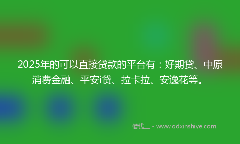 2025年的可以直接贷款的平台有：好期贷、中原消费金融、平安i贷、拉卡拉、安逸花等。
