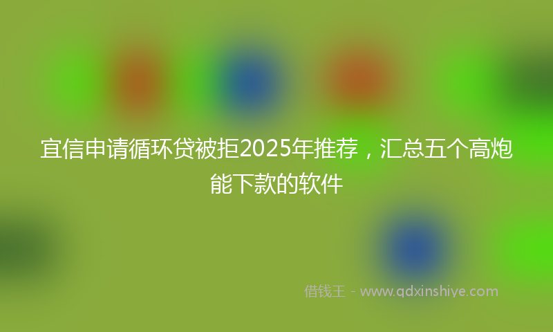 宜信申请循环贷被拒2025年推荐，汇总五个高炮能下款的软件