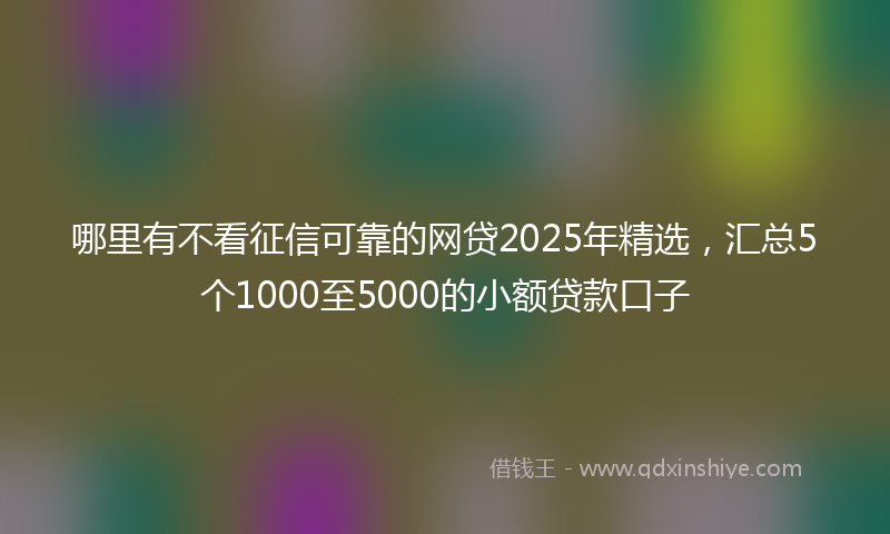 哪里有不看征信可靠的网贷2025年精选，汇总5个1000至5000的小额贷款口子