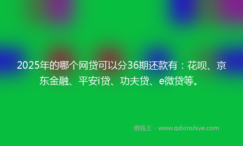 2025年的哪个网贷可以分36期还款有：花呗、京东金融、平安i贷、功夫贷、e微贷等。