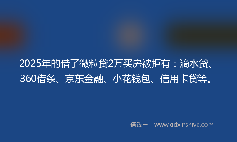 2025年的借了微粒贷2万买房被拒有：滴水贷、360借条、京东金融、小花钱包、信用卡贷等。