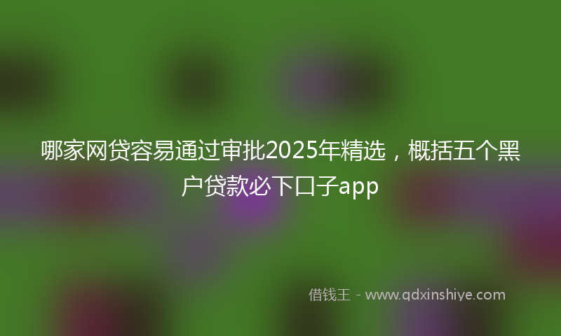 哪家网贷容易通过审批2025年精选，概括五个黑户贷款必下口子app