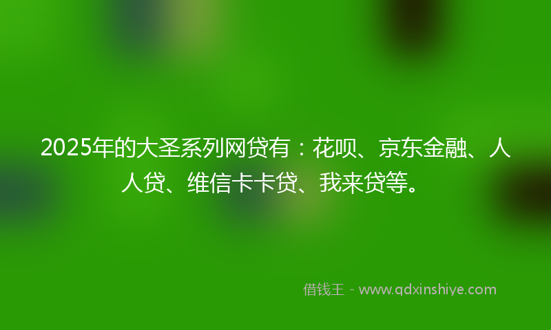2025年的大圣系列网贷有：花呗、京东金融、人人贷、维信卡卡贷、我来贷等。