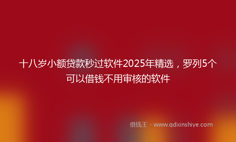 十八岁小额贷款秒过软件2025年精选，罗列5个可以借钱不用审核的软件