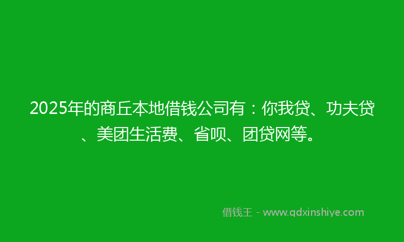 2025年的商丘本地借钱公司有：你我贷、功夫贷、美团生活费、省呗、团贷网等。