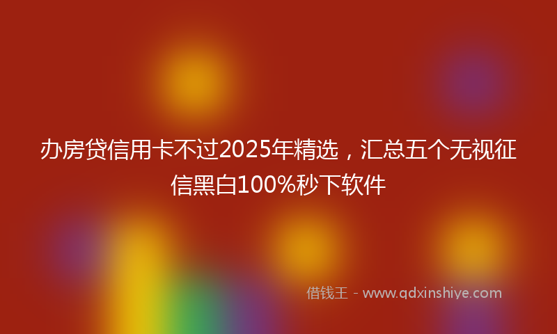 办房贷信用卡不过2025年精选，汇总五个无视征信黑白100%秒下软件