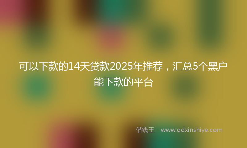 可以下款的14天贷款2025年推荐，汇总5个黑户能下款的平台