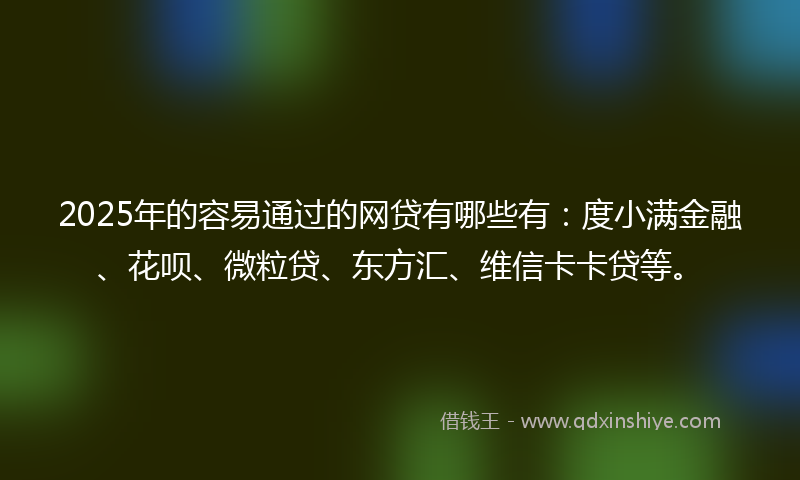 2025年的容易通过的网贷有哪些有：度小满金融、花呗、微粒贷、东方汇、维信卡卡贷等。