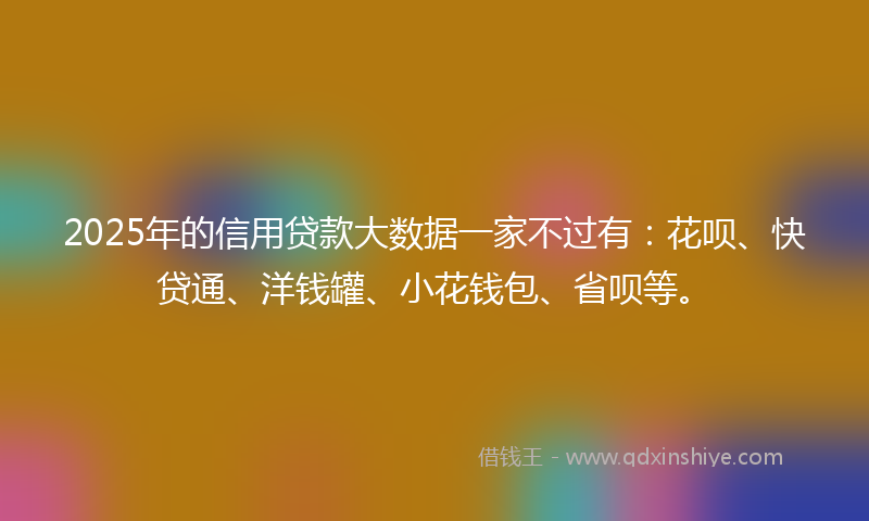 2025年的信用贷款大数据一家不过有：花呗、快贷通、洋钱罐、小花钱包、省呗等。