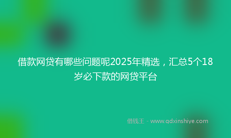 借款网贷有哪些问题呢2025年精选，汇总5个18岁必下款的网贷平台