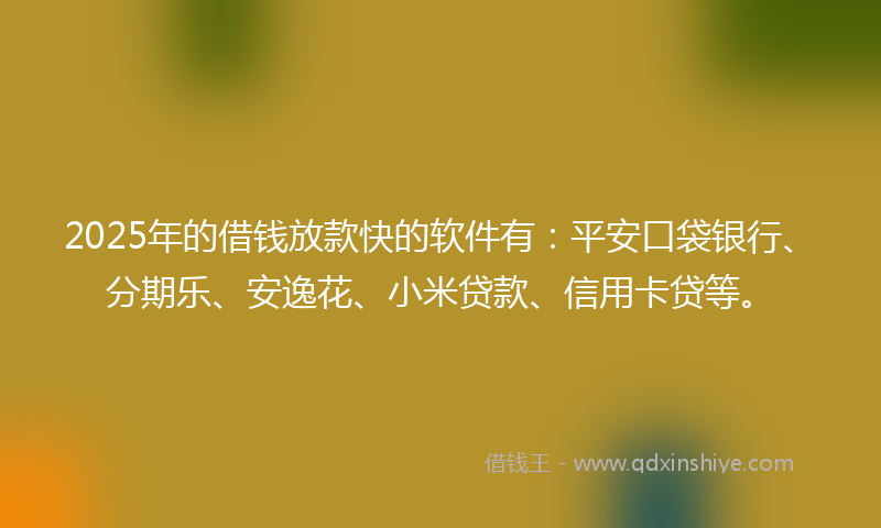2025年的借钱放款快的软件有：平安口袋银行、分期乐、安逸花、小米贷款、信用卡贷等。