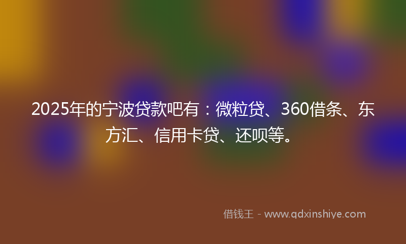 2025年的宁波贷款吧有：微粒贷、360借条、东方汇、信用卡贷、还呗等。