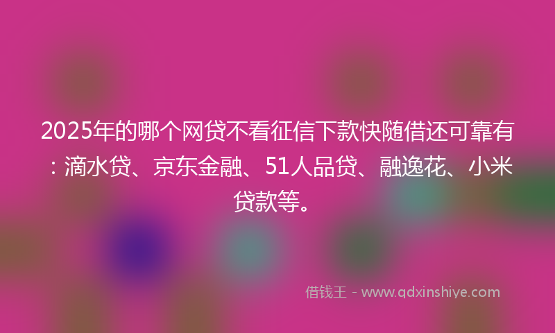 2025年的哪个网贷不看征信下款快随借还可靠有：滴水贷、京东金融、51人品贷、融逸花、小米贷款等。
