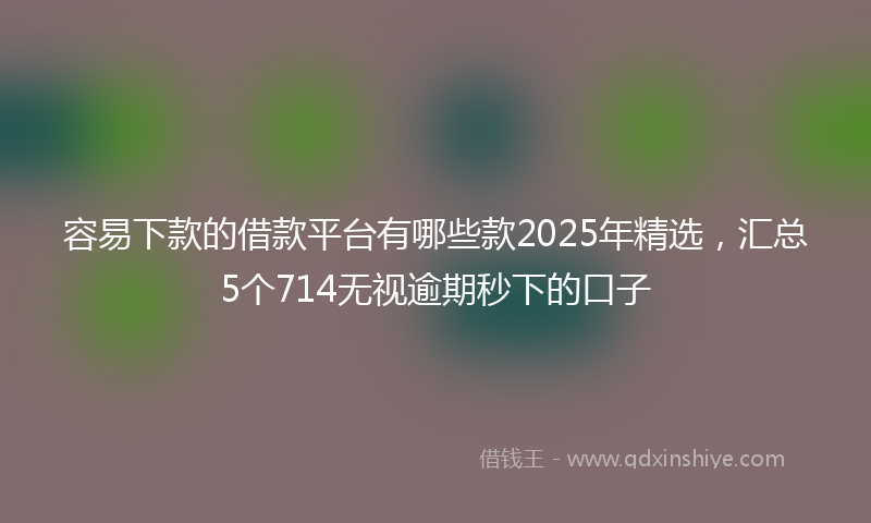 容易下款的借款平台有哪些款2025年精选，汇总5个714无视逾期秒下的口子