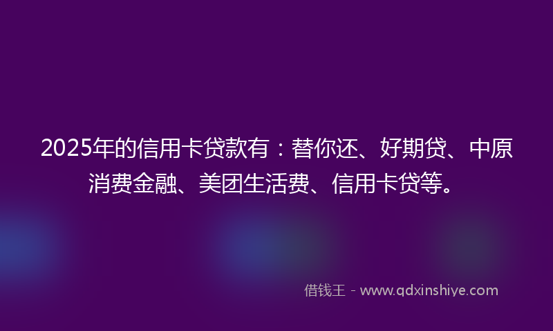 2025年的信用卡贷款有：替你还、好期贷、中原消费金融、美团生活费、信用卡贷等。