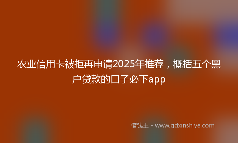 农业信用卡被拒再申请2025年推荐，概括五个黑户贷款的口子必下app
