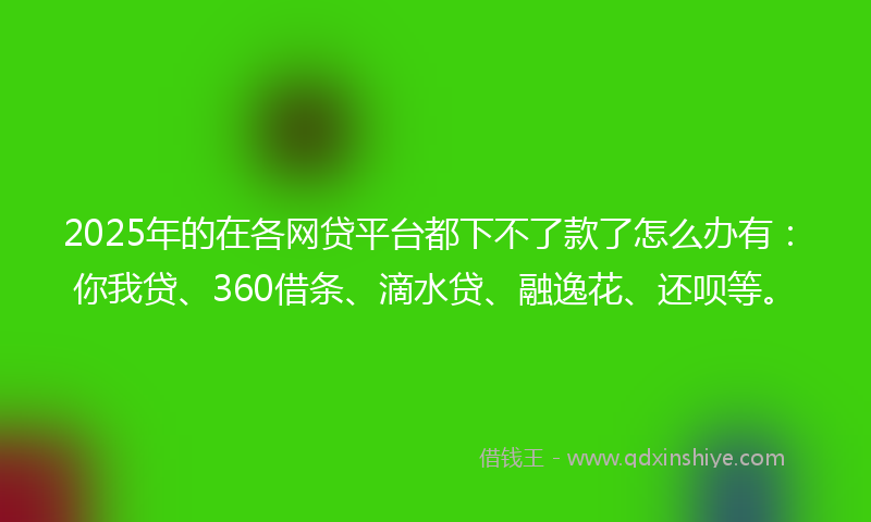 2025年的在各网贷平台都下不了款了怎么办有：你我贷、360借条、滴水贷、融逸花、还呗等。