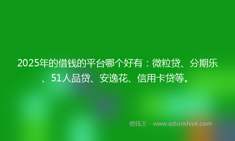 2025年的借钱的平台哪个好有：微粒贷、分期乐、51人品贷、安逸花、信用卡贷等。