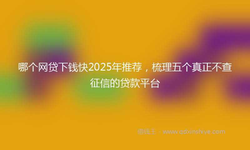 哪个网贷下钱快2025年推荐，梳理五个真正不查征信的贷款平台