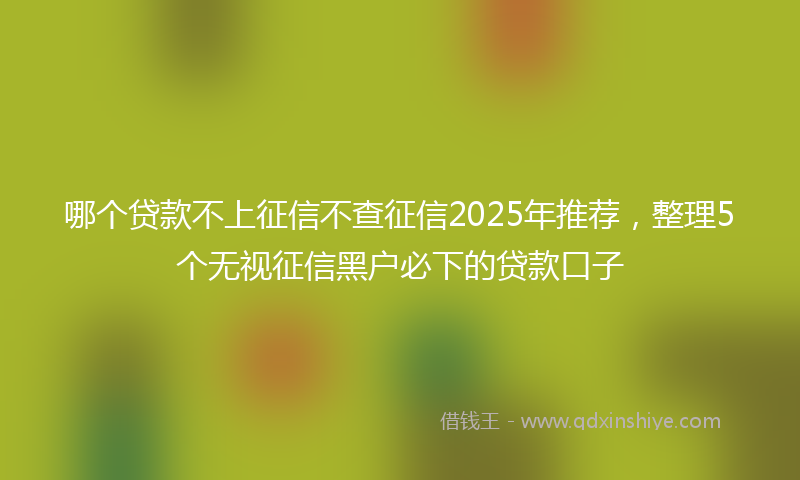 哪个贷款不上征信不查征信2025年推荐，整理5个无视征信黑户必下的贷款口子