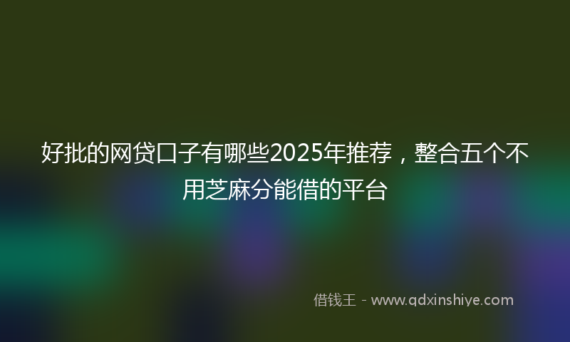 好批的网贷口子有哪些2025年推荐，整合五个不用芝麻分能借的平台