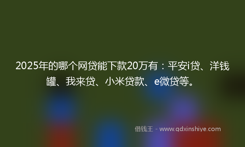 2025年的哪个网贷能下款20万有：平安i贷、洋钱罐、我来贷、小米贷款、e微贷等。