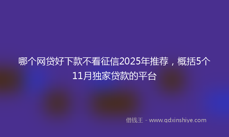 哪个网贷好下款不看征信2025年推荐，概括5个11月独家贷款的平台