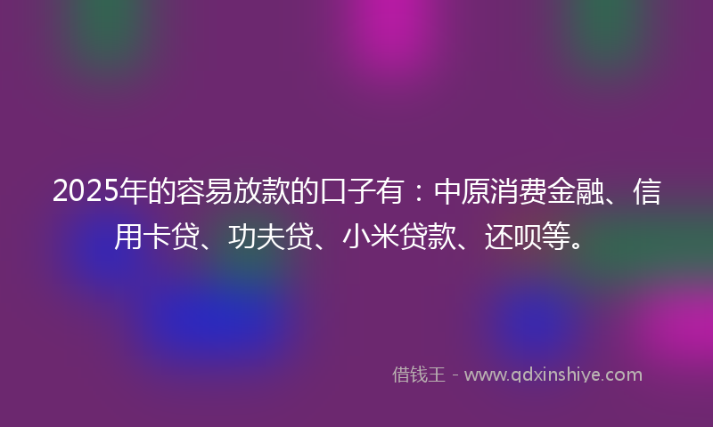 2025年的容易放款的口子有：中原消费金融、信用卡贷、功夫贷、小米贷款、还呗等。