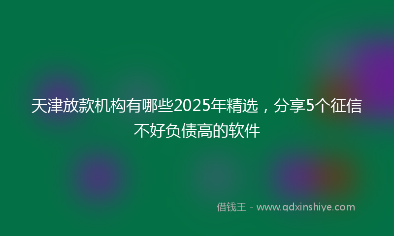 天津放款机构有哪些2025年精选，分享5个征信不好负债高的软件