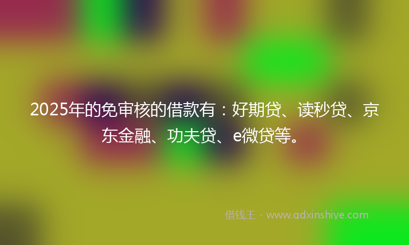 2025年的免审核的借款有：好期贷、读秒贷、京东金融、功夫贷、e微贷等。