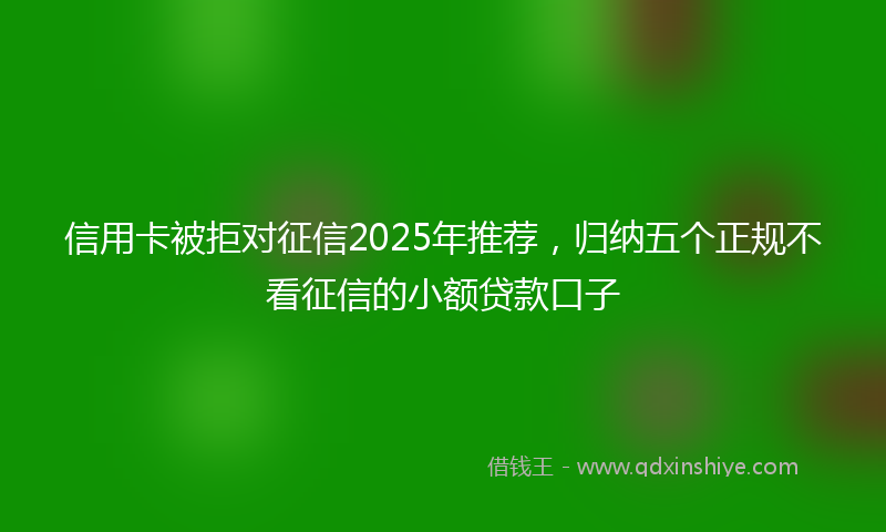 信用卡被拒对征信2025年推荐，归纳五个正规不看征信的小额贷款口子