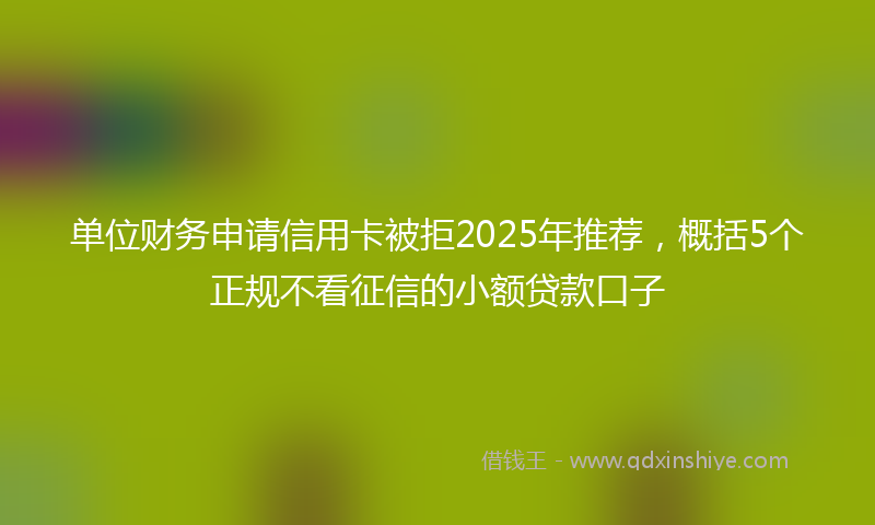 单位财务申请信用卡被拒2025年推荐，概括5个正规不看征信的小额贷款口子