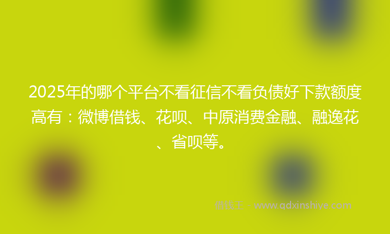 2025年的哪个平台不看征信不看负债好下款额度高有：微博借钱、花呗、中原消费金融、融逸花、省呗等。