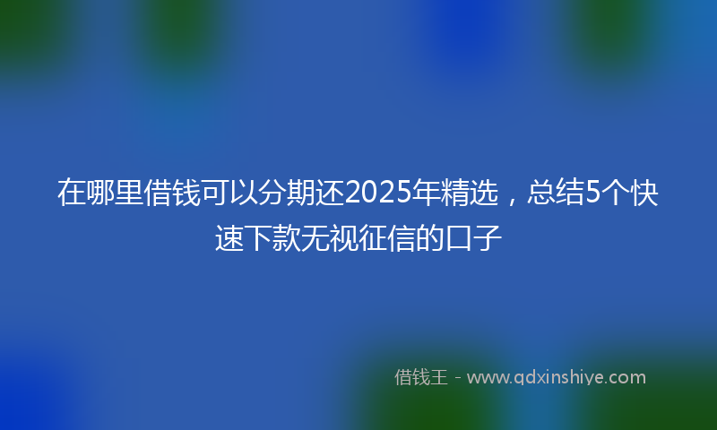 在哪里借钱可以分期还2025年精选，总结5个快速下款无视征信的口子