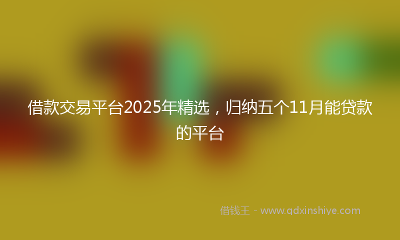 借款交易平台2025年精选，归纳五个11月能贷款的平台