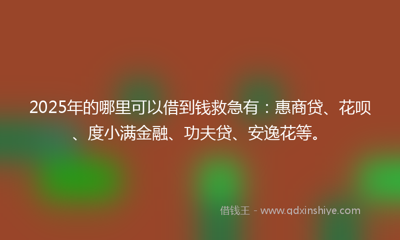 2025年的哪里可以借到钱救急有：惠商贷、花呗、度小满金融、功夫贷、安逸花等。
