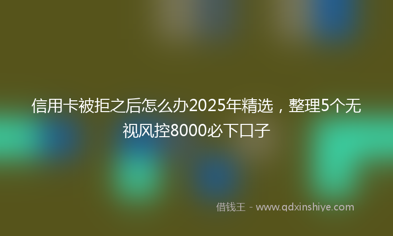 信用卡被拒之后怎么办2025年精选，整理5个无视风控8000必下口子