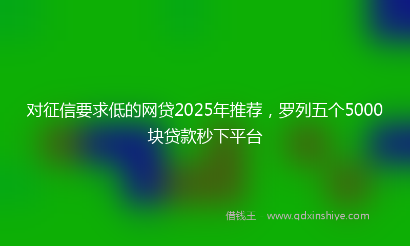 对征信要求低的网贷2025年推荐，罗列五个5000块贷款秒下平台