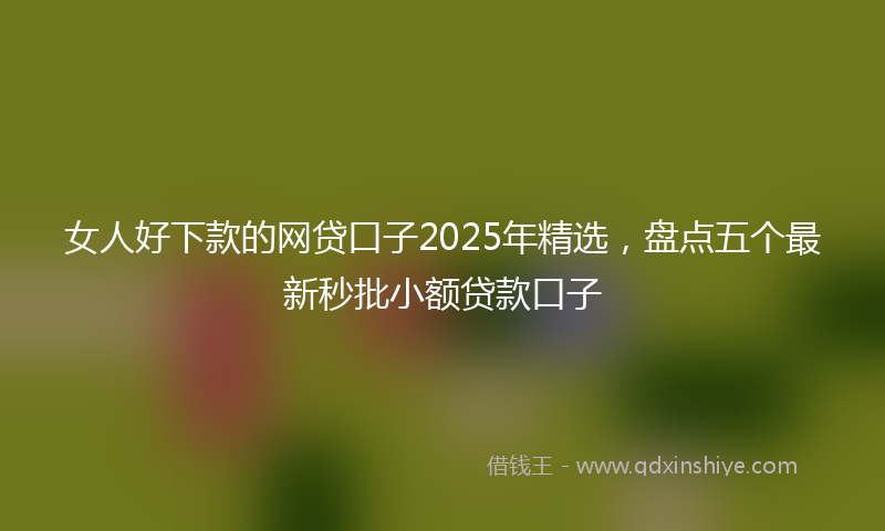 女人好下款的网贷口子2025年精选，盘点五个最新秒批小额贷款口子